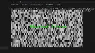 python just blurred my screen 😳 #coding #python #terminal #animation #code