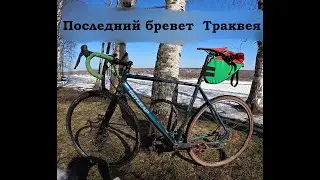 Бревет 