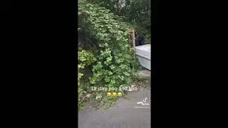 Fly Tippers UK : Caught Dumping Rubbish By Homeowner - Salford , Manchester 🇬🇧#Shorts#Flytipping