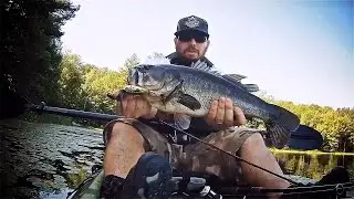 Largemouth Bass Topwater Strike