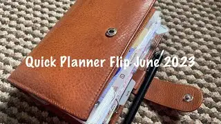 Quick Personal Rings Planner Flip / June 2023 // Pink Planner Girl