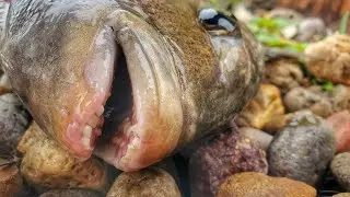 Микрорыбалка в морской воде для БОЛЬШОЙ РЫБЫ