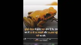 facts about frog # wildlife # discovery channel