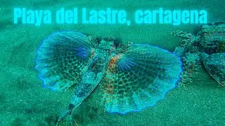 Recuerdos maravillosos de agosto 2020 con mi hija Aleta en la Playa del Lastre de Portman, Cartagena