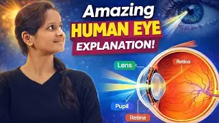 HUMAN EYE../MANAV NETR CLASS 10 SCIENCE CHAPTER 11 