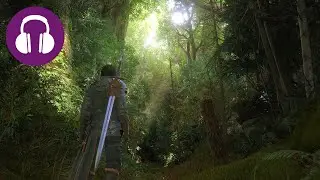 Peaceful MEDIEVAL FOREST Sounds 💤 Relaxing FINAL FANTASY 16 Ambience ( ASMR | D&D )