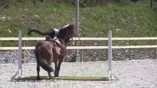 Mega Horse Bloopers. Big bucks, rears, falls and nasty stuff 3 (2013)