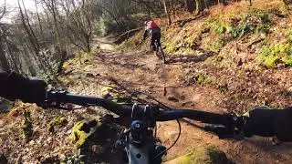 Devil's Elbow MTB - February 2021