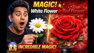 Watch This! White Flower Becomes Red 😊