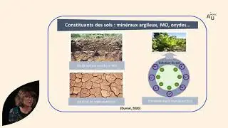 Le fonctionnement d'un sol