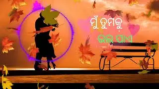 Lage Prema Najara/ ଲାଗେ ପ୍ରେମ ନଜର /Human/Ananya/ Amlan/ Priya/ cover by subu music