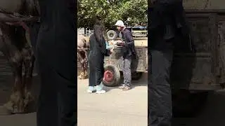 #مضحك بعار بغى يتزوج بها غير شافت طوموبيل ولات بغاه صحة 😂