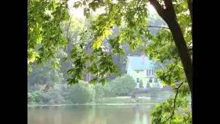 Санкт-Петербург. Парк при Осиновой Роще.