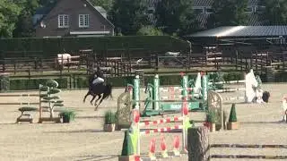 L&rsquo;Hermes de Muze (Elvis ter Putte x Jalisco B, stallion 2011) GCT Valkenswaard 1m35 2018
