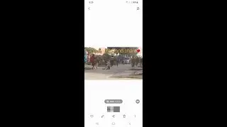 super crazy dog bark (real dog)