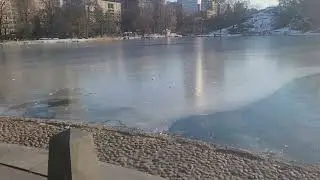Look at the beautiful Central Park 110st. 2026