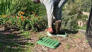 SoCal Bee Removal And Relocation- Your Crypto Beekeeper. Discussing Swarm Sizes In Vista.