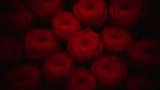 Noah Werker - Roses (Audio)