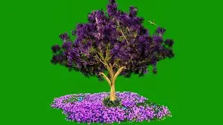 Green Screen Background /Garden Effect Green Screen / Tree Green Screen / Green Screen Effects