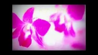 Utada- Every heart ( english version ) (german translation) // Lyrics on screen//