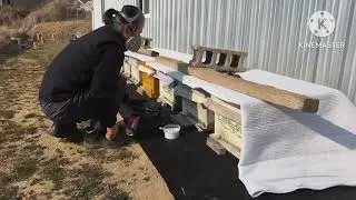 2026년1월4일 옥살산 훈증  봉판 없는 완벽한 방제 시기 #예천군 #honeybee#종붕분양