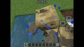 All Mob Transformations In One Video