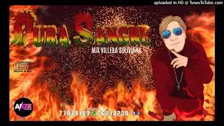 Pura sangre - Chofercito (VILLERA BOLIVIANA ⚡)