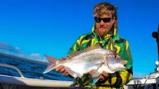 Live Baiting Moreton Bay Snapper