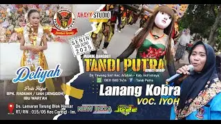 LANANG KOBRA | VOC. IYOH | TANDI PUTRA | BPK. RADIJAH / IBU WARI'AH | TARUNG 09 JUNI 2025