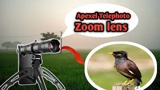 Wildlife Photography With Apexel 28x Zoom Lens || Apexel 28x Telephoto Mobile Lens Review 