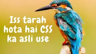 what is css | css definition in hindi | cascading style sheet