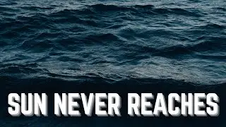Life Where the Sun Never Reaches | Relaxing Science