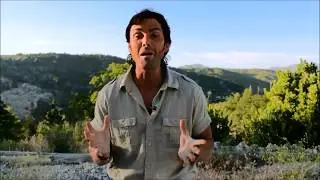Outback Zack Sizzle Reel