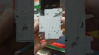 Havells Reo 10A SPN MCB