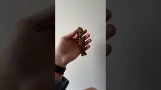 Baby Groot 3D Printed