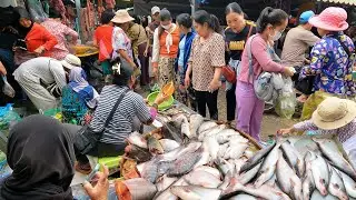 Amazing Cambodian Live Food Market Scenes - Fresh Fish, Pork, Fruits & People Activities