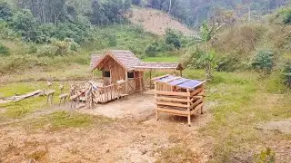 Full Video - I Spent 1 Year Alone Building A Log Cabin Off Grid.