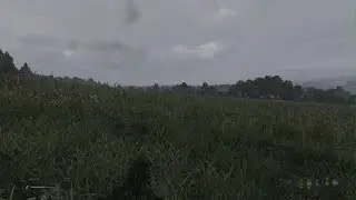 Freshys Lucky Start