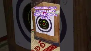 CARABINA GAMO HUNTER 440-as Gas Ram(IGT) 5,5mm #carabinapcp #carabinadepressao #airsoft #pcphunters