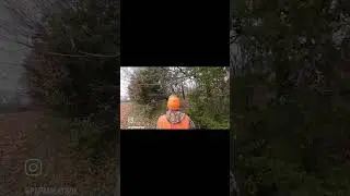 Pheasant hunting with family and friends.  Browning Citori and Franchi Instinct.