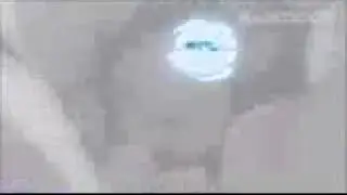 graninja vs septiles