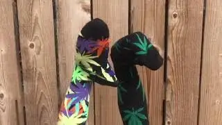 Sock Talk: 4/20