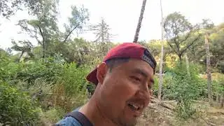 Chantry flats