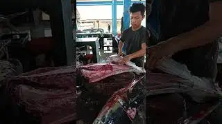 amazing way to fillet fresh tuna #shots #fish #fyp #localmarket #food