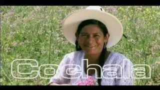 SPOT - HECHO EN COCHA - ELFEC