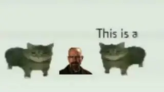 this is a waltuh