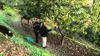 Parcours de vie Sonia et Fabrice Puech, produits au citron de Menton