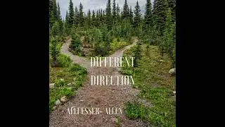 All Platforms#album#alliesser-allen#dec2025#fypviral#different#direction#shorts#blowupedit#shorts#fy