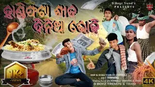 Handi Phata Sita Dinia Bhoji || New Odia Comedy || D Boyz Trend's 
