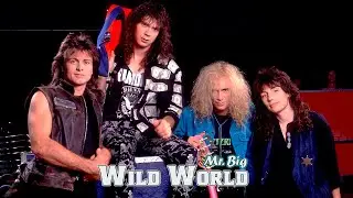 Mr. Big &ndash; Wild World | Drum Cover